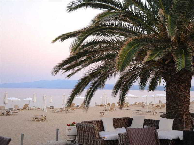 Assa Maris Chalkidiki Exterior foto